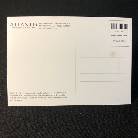 Atlantis Paradise Island Bahamas Hologram Dolphin Cay Souvenir Post Card - Picture 6 of 6